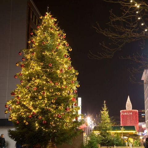 Großer Weihnachtsbaum im Winter beim Weihnachtstreff in der Mülheimer Innenstadt