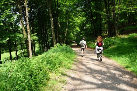 Wanderer im Wald im Sommer auf einer Route des neanderlandSTEIGs in Mülheim