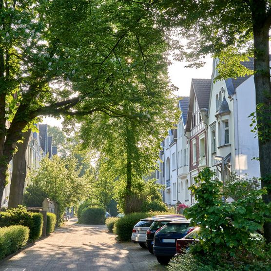 Allee im Sommer am Goetheplatz im Mülheimer Dichterviertel